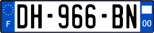 DH-966-BN