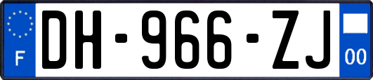 DH-966-ZJ