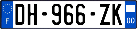 DH-966-ZK