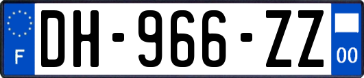 DH-966-ZZ