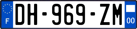 DH-969-ZM