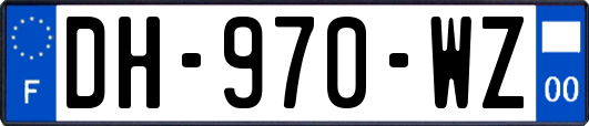 DH-970-WZ