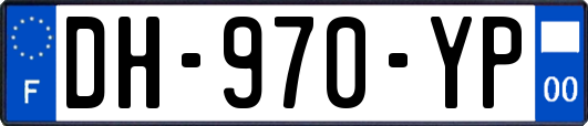 DH-970-YP