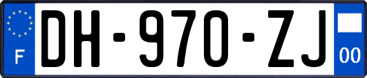 DH-970-ZJ