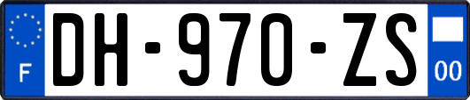 DH-970-ZS