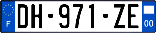 DH-971-ZE