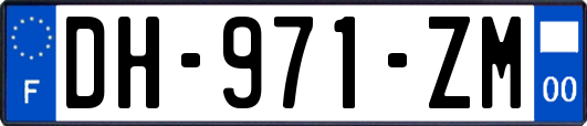 DH-971-ZM