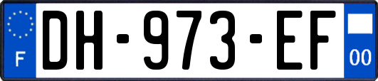 DH-973-EF