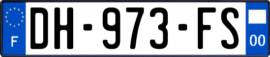 DH-973-FS