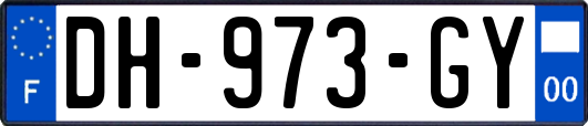 DH-973-GY