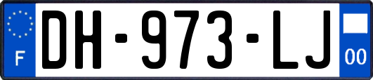 DH-973-LJ