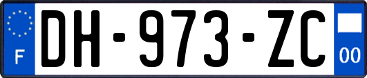 DH-973-ZC