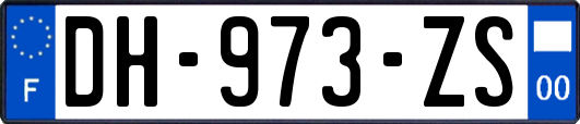 DH-973-ZS