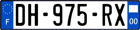 DH-975-RX