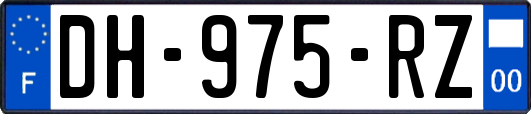 DH-975-RZ