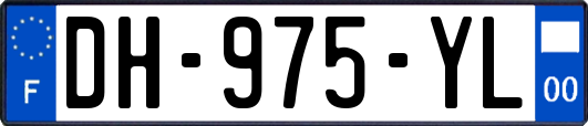DH-975-YL