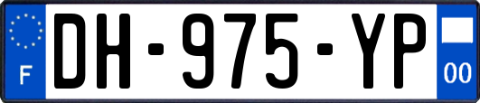 DH-975-YP