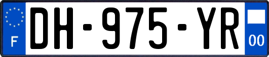 DH-975-YR