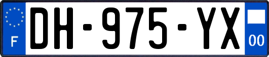 DH-975-YX
