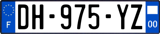 DH-975-YZ