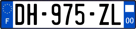 DH-975-ZL