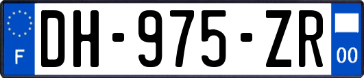 DH-975-ZR