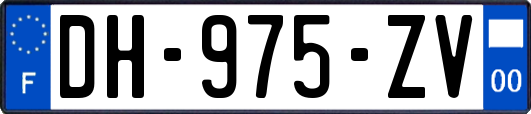 DH-975-ZV