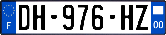 DH-976-HZ