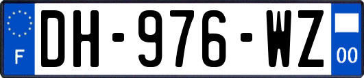 DH-976-WZ