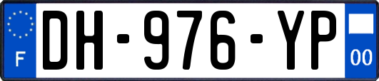 DH-976-YP