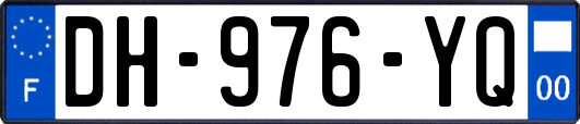 DH-976-YQ