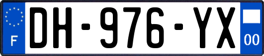 DH-976-YX