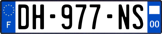 DH-977-NS
