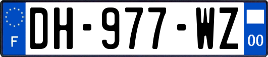 DH-977-WZ