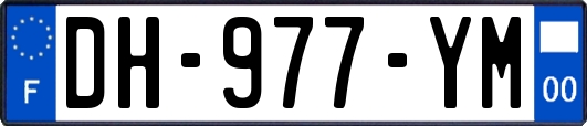 DH-977-YM