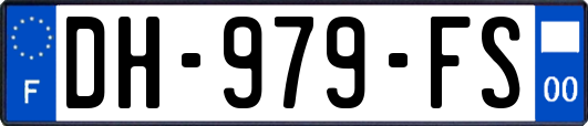 DH-979-FS