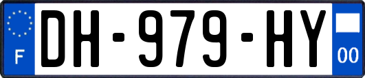 DH-979-HY