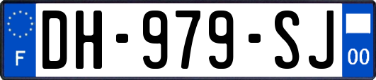 DH-979-SJ