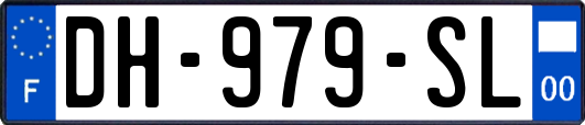 DH-979-SL