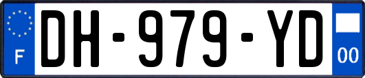 DH-979-YD