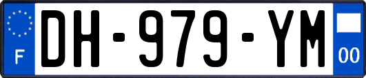 DH-979-YM