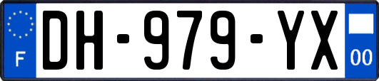 DH-979-YX