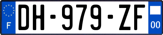 DH-979-ZF