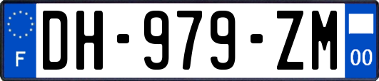 DH-979-ZM