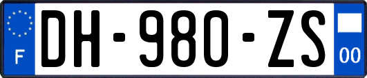 DH-980-ZS