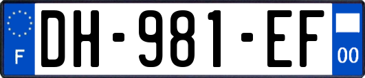 DH-981-EF