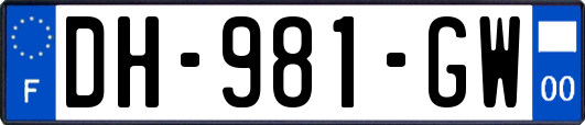 DH-981-GW