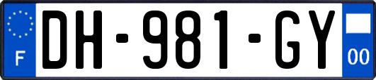 DH-981-GY
