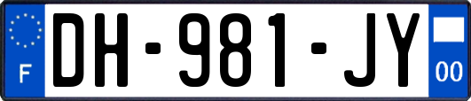 DH-981-JY