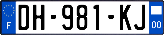 DH-981-KJ